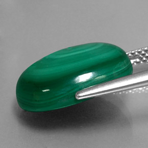 Malachite Vert multicolore naturelle Coupe ovale, 10.63 ct, Opaque