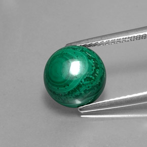 Malachite vert naturelle coupe roude, 5,27 ct, opaque