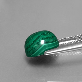 Malachite vert naturelle coupe roude, 5,27 ct, opaque