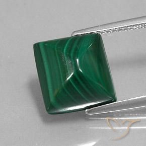 Malachite Vert naturelle Carré, 9.85 ct, Opaque