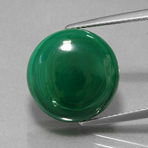 Malachite vert naturelle coupe roude, 15,99 ct, opaque
