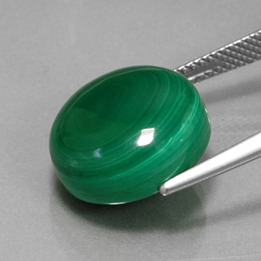 Malachite vert naturelle coupe roude, 15,99 ct, opaque
