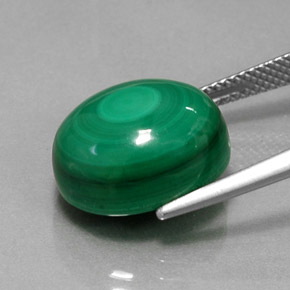 Malachite vert naturelle coupe ovale, 15,46 ct, opaque