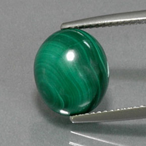 Malachite Vert multicolore naturelle Coupe ovale, 6.91 ct, Opaque