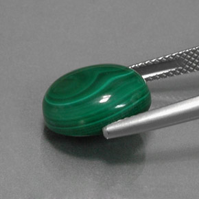 Malachite vert naturelle coupe ovale, 9,57 ct, opaque
