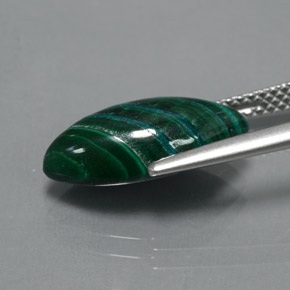 Malachite vert naturelle marquise, 5,63 ct, opaque