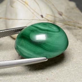 Malachite vert naturelle coupe ovale, 32,84 ct, opaque