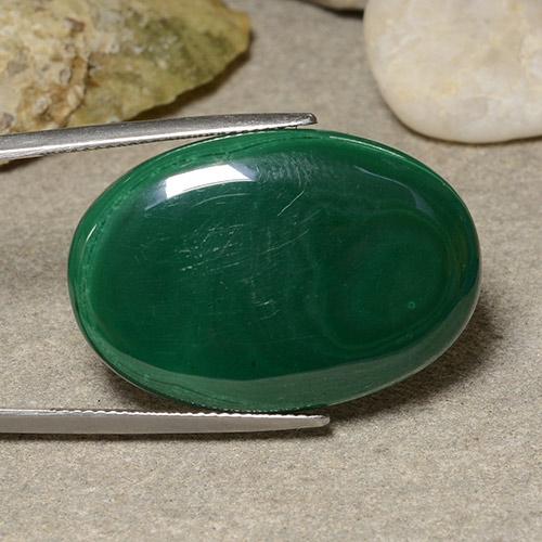 Malachite Vert moyen naturelle Coupe ovale, 39.90 ct, Opaque