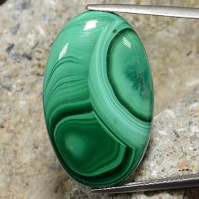 Malachite vert naturelle coupe ovale, 34,94 ct, opaque