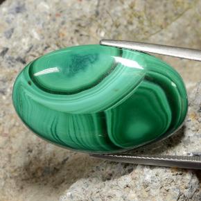 Malachite vert naturelle coupe ovale, 34,94 ct, opaque