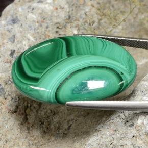 Malachite vert naturelle coupe ovale, 34,94 ct, opaque