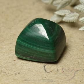 Malachite Vert pin naturelle Carré, 6.82 ct, Opaque
