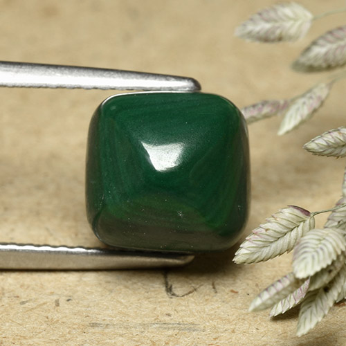 Malachite vert naturelle coupe coussin, 6,32 ct, opaque