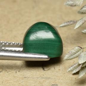Malachite vert naturelle coupe coussin, 6,32 ct, opaque