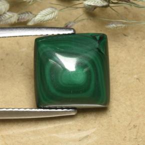 Malachite vert naturelle carré, 8,08 ct, opaque