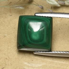 Malachite vert naturelle carré, 8,08 ct, opaque