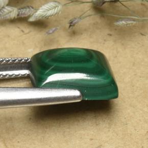 Malachite vert naturelle carré, 8,08 ct, opaque