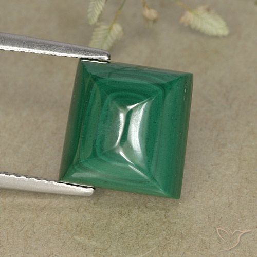 9.52ct Naturel Vert Malachite, Carré, Opaque
