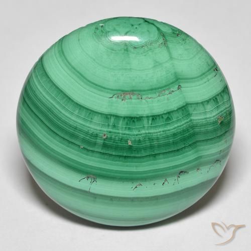 30.82ct Naturel Vert moyen Malachite, Tour, Opaque