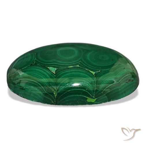 Malachite vert naturelle coupe ovale, 40,20 ct, opaque