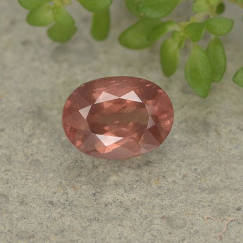 1.27ct Naturel Rose framboise Grenat Malaya, ovale, VS