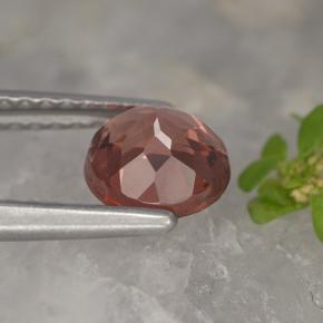 Grenat malaya rose naturelle coupe roude, 1,09 ct, VVS-VS