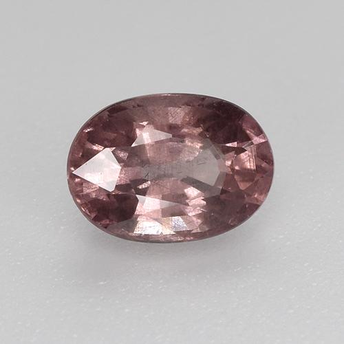 Grenat malaya rouge naturelle coupe ovale, 0,75 ct, VS