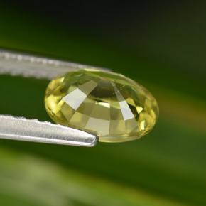 Grenat du mali vert naturelle coupe ovale, 1,25 ct, VS