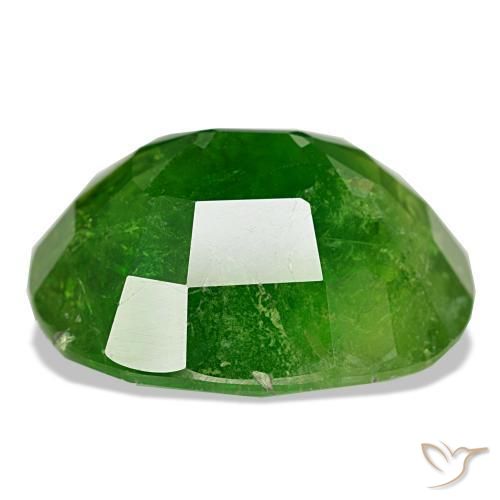 Grenat du mali vert naturelle coupe ovale, 15,82 ct, SI-I1