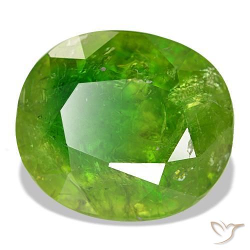 Grenat du mali vert naturelle coupe ovale, 15,40 ct, SI-I1