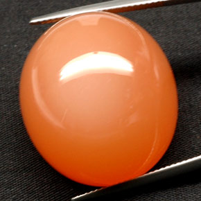 Pierre de lune orange naturelle transparent, 81,53 ct, transparent / translucide