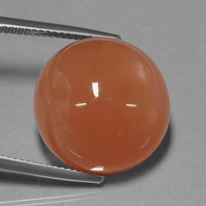 Pierre de lune orange naturelle coupe roude, 25,39 ct, opaque