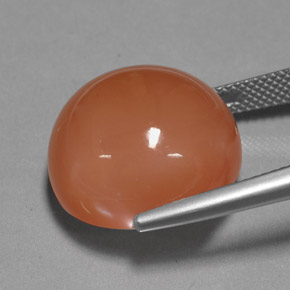 Pierre de lune orange naturelle coupe roude, 25,39 ct, opaque