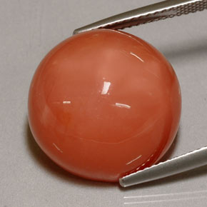 Pierre de lune orange naturelle transparent, 20,38 ct, transparent / translucide