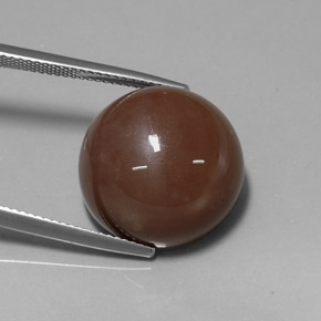 Pierre de lune marron naturelle coupe roude, 20,19 ct, opaque