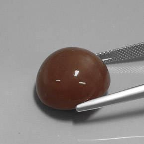 Pierre de lune marron naturelle coupe roude, 20,19 ct, opaque