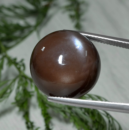 Pierre de lune marron naturelle coupe roude, 26,22 ct, opaque