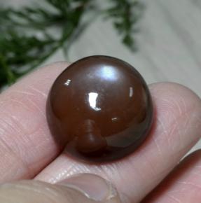 Pierre de lune marron naturelle coupe roude, 26,22 ct, opaque