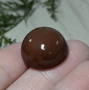 Pierre de lune marron naturelle coupe roude, 26,22 ct, opaque