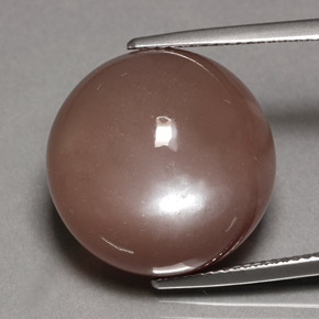 Pierre de lune marron naturelle coupe roude, 24,70 ct, opaque