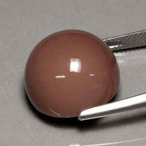 Pierre de lune marron naturelle coupe roude, 23,20 ct, opaque