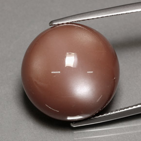 Pierre de lune orange naturelle coupe roude, 24,39 ct, opaque