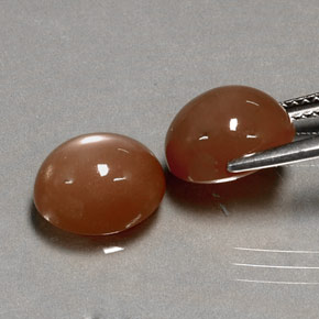 Achetez naturel ct orange pierre de lune gems, coupe ovale, en provenance inde chez gemselect. en stock, livraison internationale!