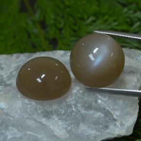 Achetez naturel 33,03ct marron pierre de lune gems, coupe roude, en provenance inde chez gemselect. en stock, livraison internationale!