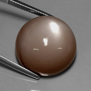 Pierre de lune marron naturelle coupe roude, 33,72 ct, opaque