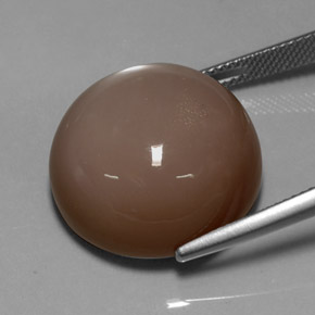 Pierre de lune marron naturelle coupe roude, 33,72 ct, opaque