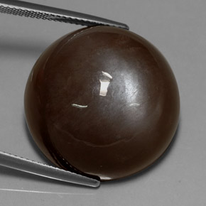 Pierre de lune marron naturelle coupe roude, 37,22 ct, translucide