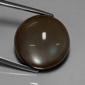 Pierre de lune marron naturelle coupe roude, 32,10 ct, translucide