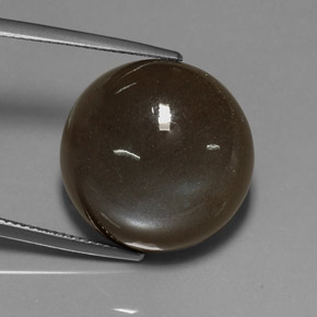 Pierre de lune marron naturelle coupe roude, 23,55 ct, translucide