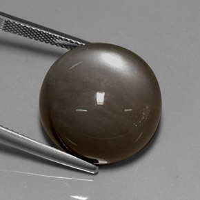 Pierre de lune marron naturelle coupe roude, 29,60 ct, translucide